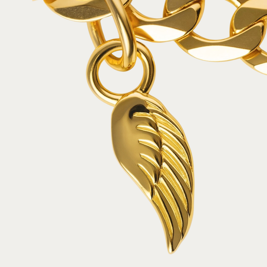 The Freedom Charm (Immigration Rights)